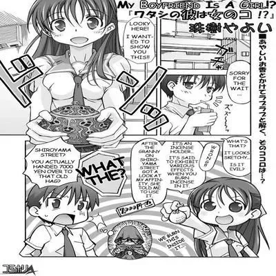 My Boyfriend is a Girl!? [Original] manga cover