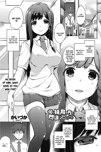 [Kaiduka] Ore wa Imouto no Sodatekata o Machigaeta Kamo | I Might Have Made a Mistake With How I Raised My Little Sister (COMIC Penguin Celeb 2017-07) [English] [Digital] manga cover