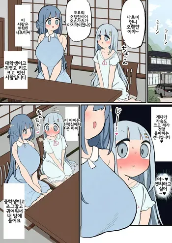 [Momomo] Shinseki no Futanari-chan Daisuki Onee-san to Guchogucho Ecchi Futanari-chan [korean] manga cover