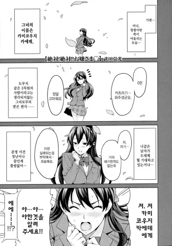 [Takeda Hiromitsu] Zettai! Zettai!! Ojou-sama (COMIC Megastore 2009-09) [Korean] manga cover