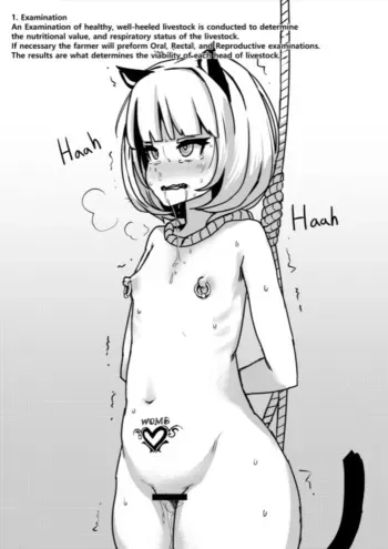 JJ.JJ manga cover