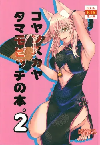 Koyanskaya Tamamo Bitch no Hon. 2 manga cover
