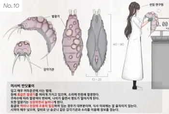 Mushi Research Report No.10 [Korean] manga cover