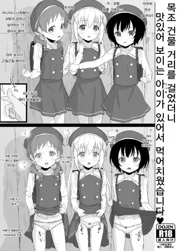 [2nd color (Typehatena)] Kigumi no Machi o Aruitetara Oishisou na Kodomo ga Ita node Gochisou ni Narimashita (Gochuumon wa Usagi desu ka?) [Korean] [Digital] manga cover