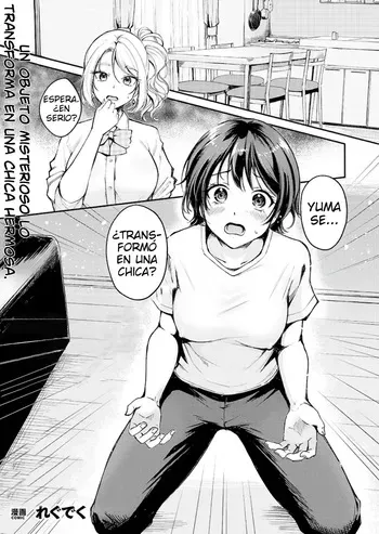 [Regdic] TS Goods Panic ~Iritani Kyoudai no Baai~ | TS Goods Panic ~The Case of the Iritani Siblings~ [Spanish] [TF Scans] manga cover