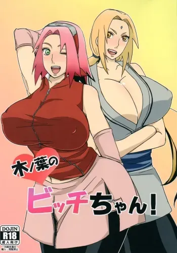Konoha's Bitches! manga cover