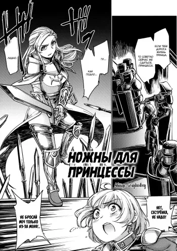 [SexyTurkey] Souki no Saya | Ножны для принцессы (Seigi no Heroine Kangoku File DX Vol. 8) [Russian] [Mucopurulence Excretor] manga cover